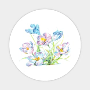 Blue flowered saffron crocus Magnet